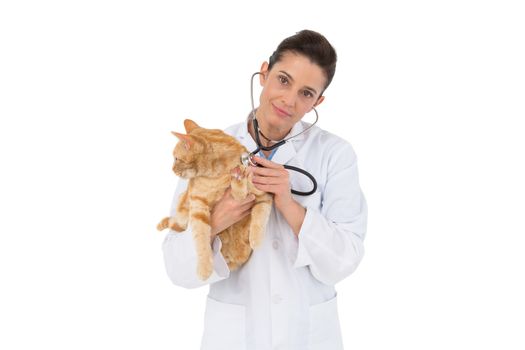 Veterinarian examining a cat with stethoscope on white background 