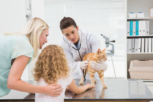 Veterinarian examining a cat with its owners in medical office 