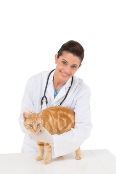 Veterinarian examining a cat on white background