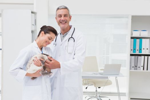 Smiling veterinarians holding cat in medical office  