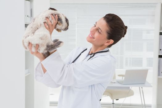 Smiling veterinarian holding a rabbit in medical office 