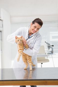 Veterinarian examining a cat in medical office 