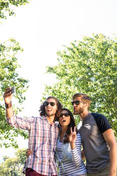 Happy friends taking a selfie on a summers day