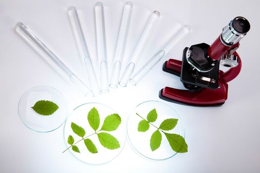 Chemical laboratory glassware, bio organic modern concept