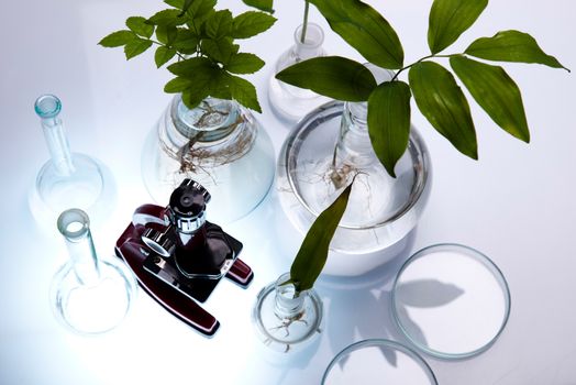 Chemical laboratory glassware, bio organic modern concept