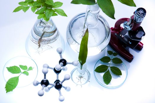 Chemical laboratory glassware, bio organic modern concept