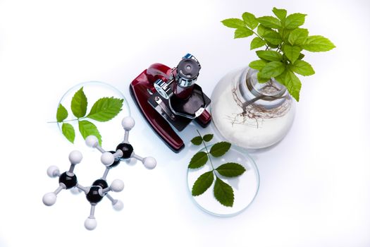 Chemical laboratory glassware, bio organic modern concept