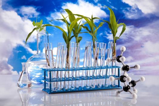 Laboratory glassware, bio organic modern concept