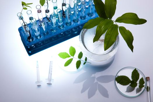 Laboratory glassware, bio organic modern concept