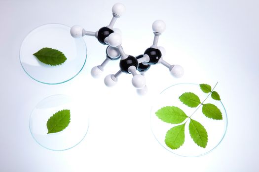 Laboratory glassware, genetically modified plant