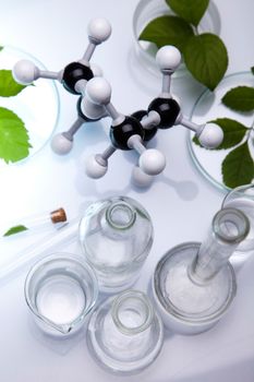 Laboratory glassware, genetically modified plant