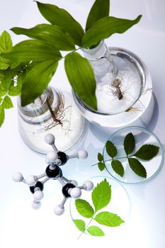 Laboratory glassware, genetically modified plant