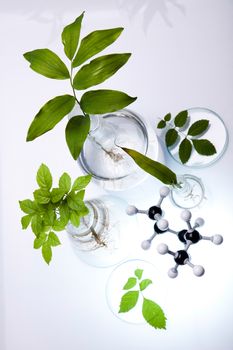 Chemical laboratory glassware, bio organic modern concept