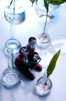 Laboratory glassware, genetically modified plant
