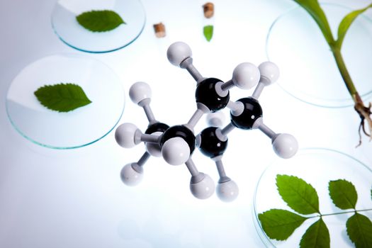 Laboratory glassware, genetically modified plant