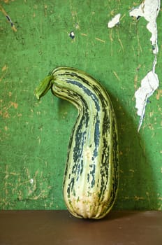 green courgette zucchini vegetable on table and old wall background