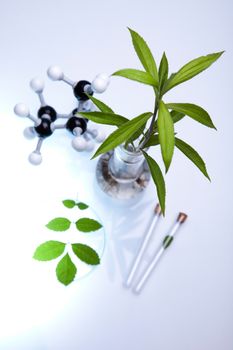 Chemical laboratory glassware, bio organic modern concept