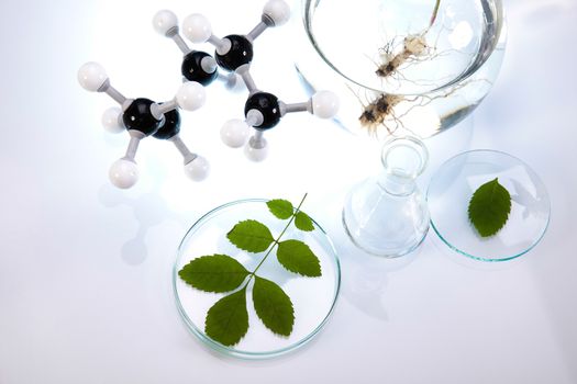 Laboratory, bio organic modern concept