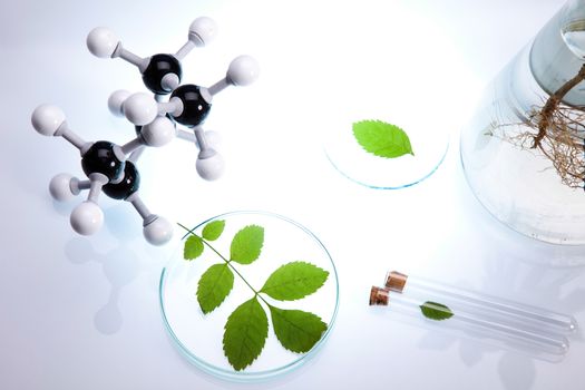 Laboratory pipette, bio organic modern concept