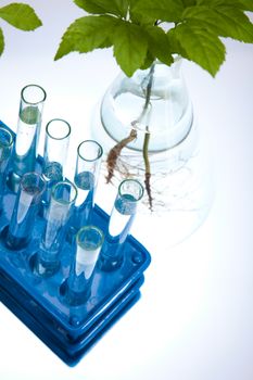 Laboratory pipette, bio organic modern concept