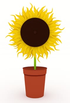Illustration of a single Sunflower in a pot
