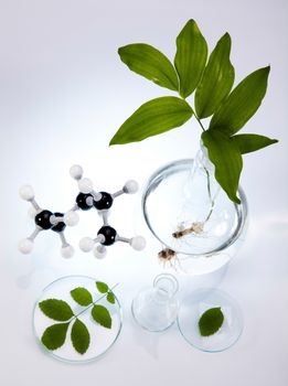 Laboratory pipette, bio organic modern concept