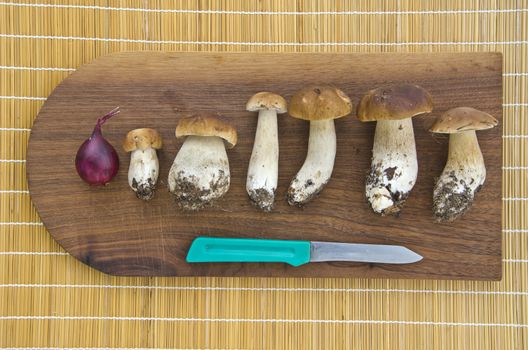 mushrooms cep boletus and knife on kitchen table