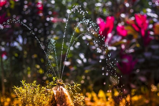 Small Fountain with Clean Fresh Water at the Forest