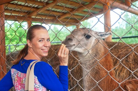 Young attractive woman feeding lama