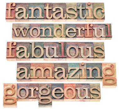 fantastic, wonderful, fabulous, amazing, and gorgeous -positive word collection - isolated text in letterpress wood type