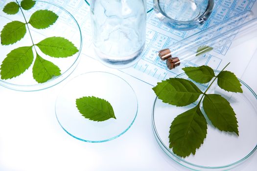 Laboratory glassware, genetically modified plant