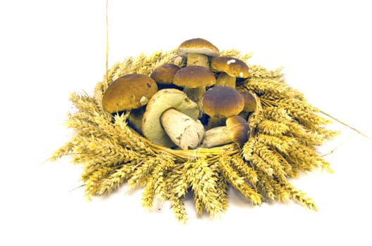 wheat ears crown wreath and fresh mushroms cep boletus isolated on white