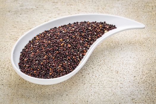 gluten free black quinoa grain grown in Bolivia ,  a teardrop shaped bowl against white painted grunge wood