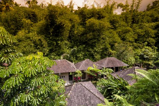 Traditional village in the Bamboo Forest of Bali