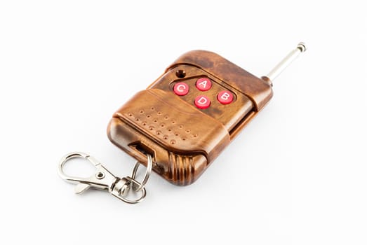 Brown Remote Control Key.