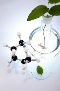 Laboratory pipette, bio organic modern concept