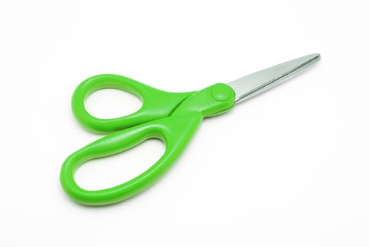 Green Plastic and Stainless Steel Scissors.
