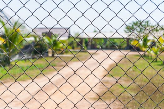 Mesh Fence with Blurred Background.