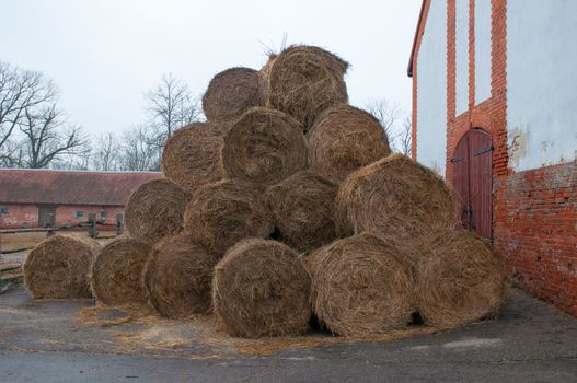 Straw bales on farmland. Ranch for breeding horses. Kaliningrad region. Russia.