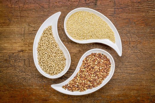 sorghum, millet and buckwheat - three gluten free grains in teardrop shaped bowls against rustic wood