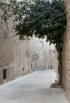 old street in the village mdina on the island Malta