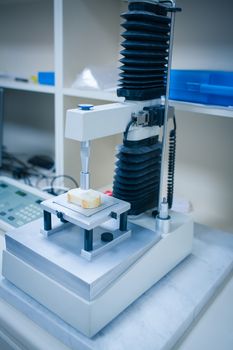 Food scientist using technology to analyse bread at the university