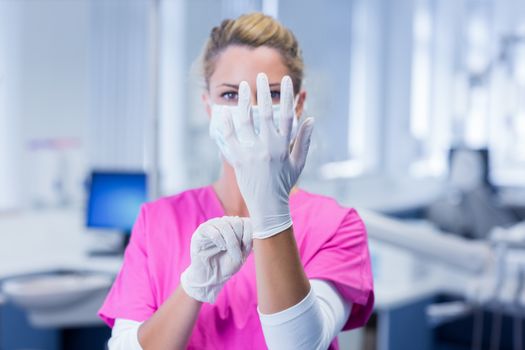 Dentist in pink scrubs putting on surgical gloves at the dental clinic