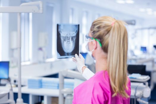 Female dentist in pink scrubs examining x-ray at the dental clinic