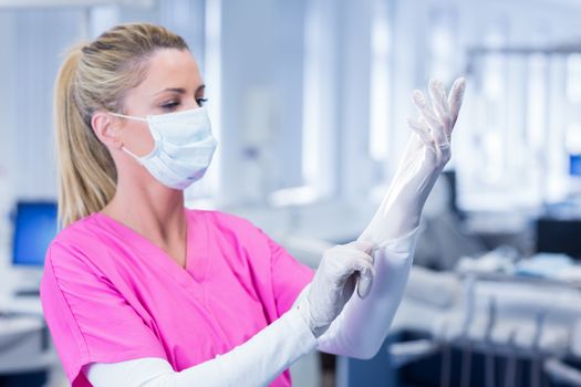 Dental in mask pulling on gloves at the dental clinic