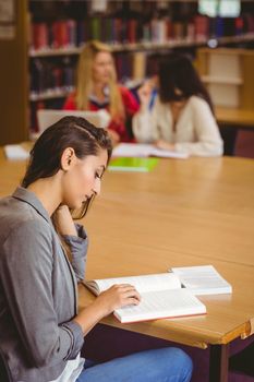 Focused student sitting at desk reading text book in library