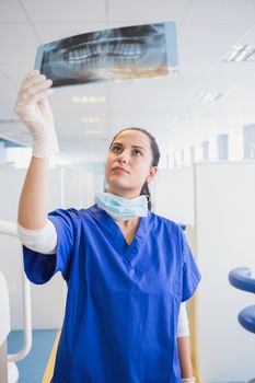 Concentrated dentist examining a x-ray in dental clinic