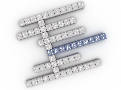 3d image Management issues concept word cloud background