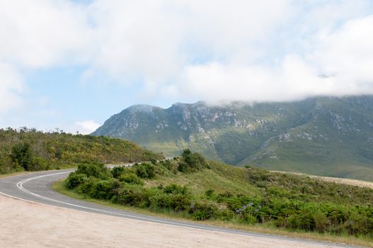 Robinson Pass over the Outeniqua Mountains between Mosselbay and Oudtshoorn in the Western Cape Province of South Africa