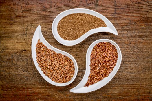 teff, red quinoa and brown rice - three gluten free grains in teardrop shaped bowls against rustic wood